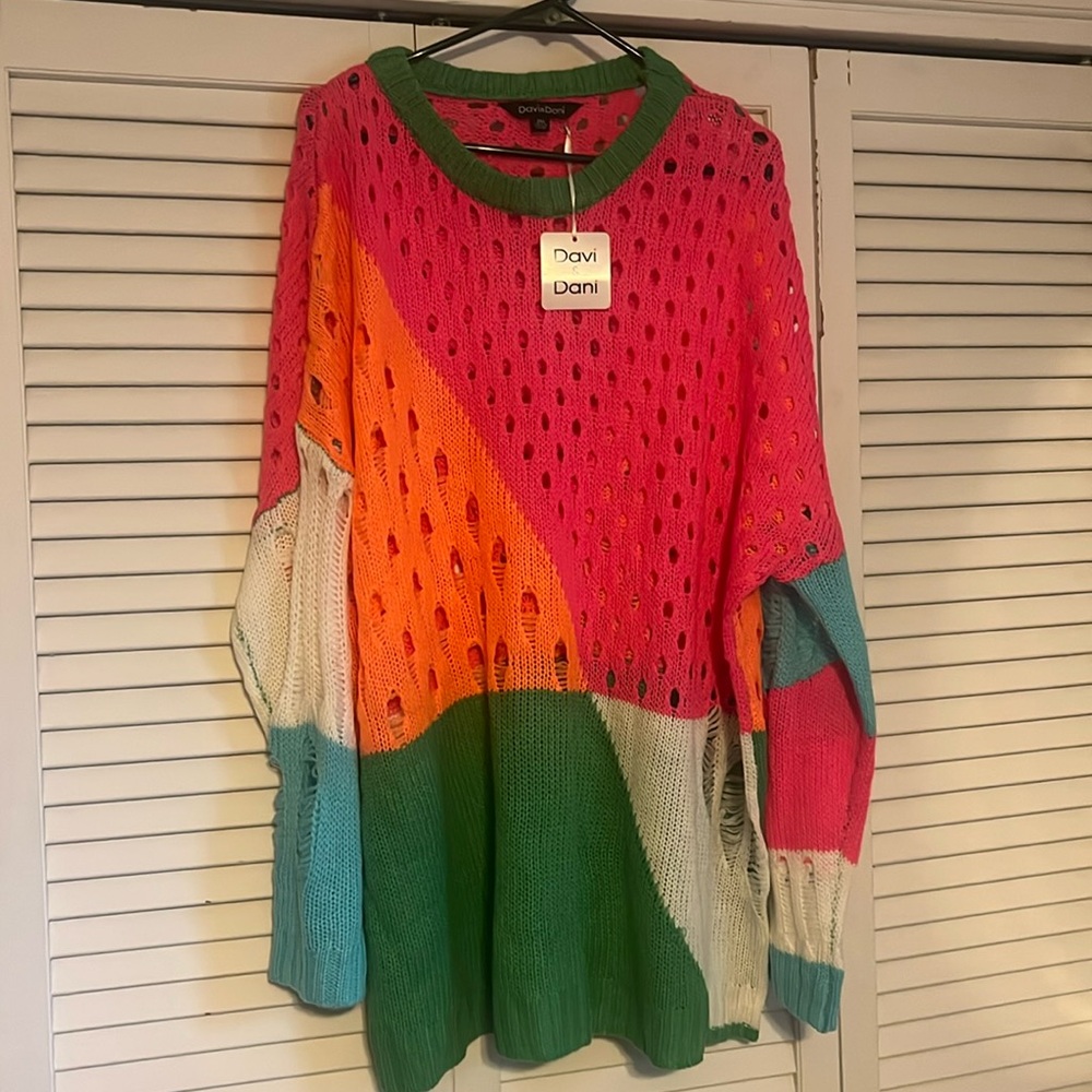 Davi and Dani sweater, 2x